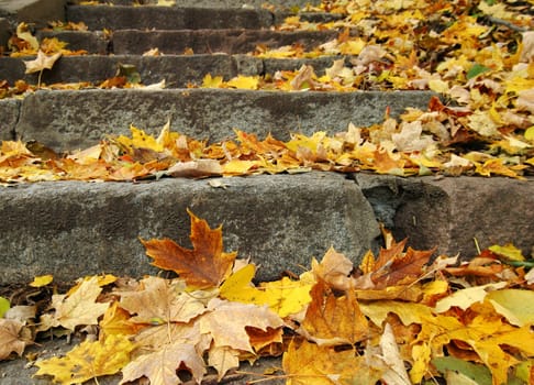 Autumn Stairs