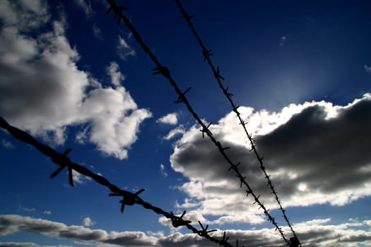 A breath of freedom