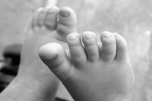 Little Feet II