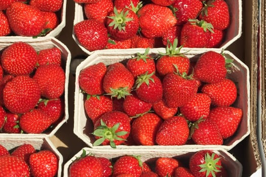 Strawberry peels 01