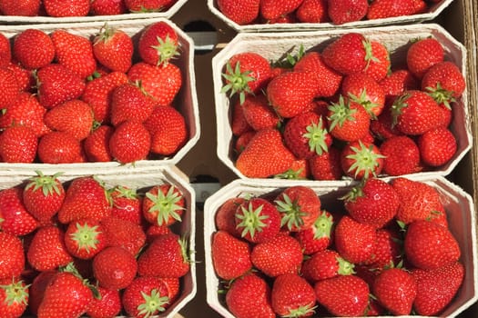 Strawberry peels 03
