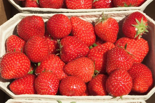 Strawberry peels 04