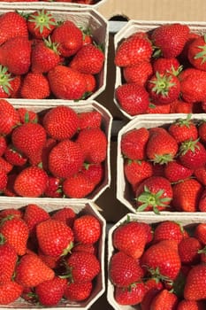 Strawberry peels 02