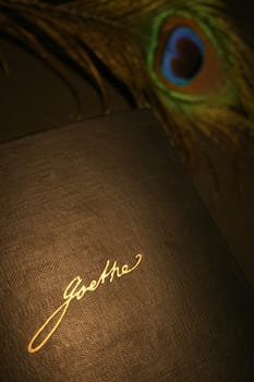 From his pen