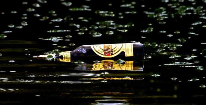 Bottle toast