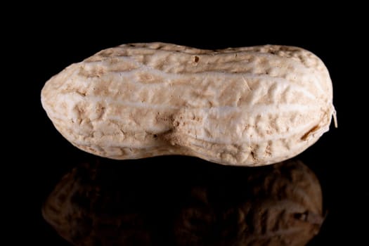 Peanut 2