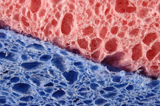 Plaster Sponge 2