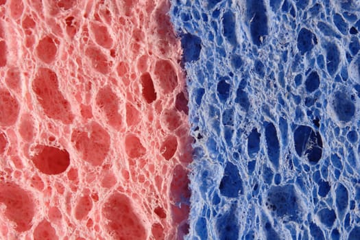 Plaster sponge
