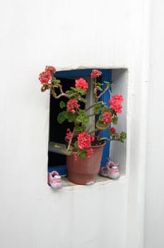 Discovered in the old town of Mykonos.