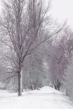 Taken along the Nidda River in Frankfurt am Main. Subsequently played with the color in Photoshop.