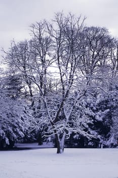 Taken along the Nidda River in Frankfurt. Here I also tinkered with the color.