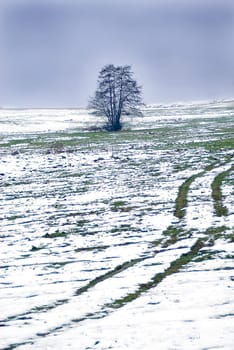 The beginning of winter