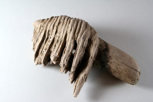 Flotsam from the island of Sylt