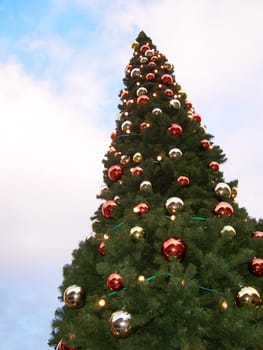 Christmas tree traditional without isolated without background