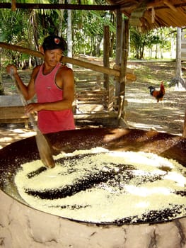 Preparation of tapioca flour from grated cassava,Amazon region,Brazil