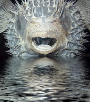 The Monster