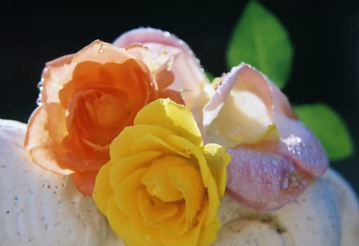 3 mini florets