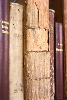 Book spine 02