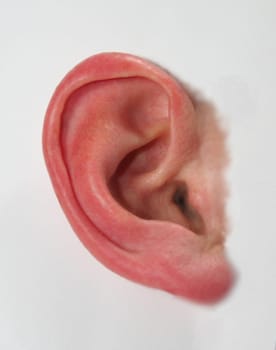 Pure auditory