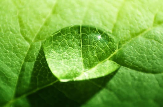 Water droplets I
