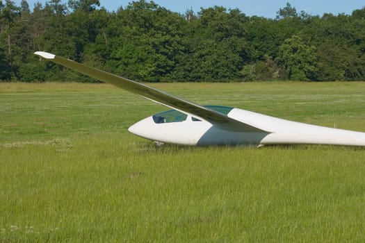 Glider 02