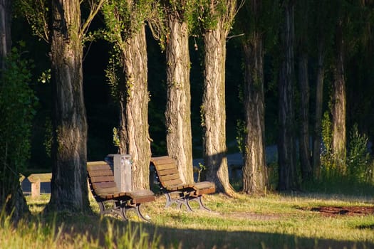 Benches