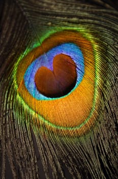 In the eye of the beholder