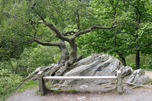 Resting bench on a hiking trail in the Harz National Park