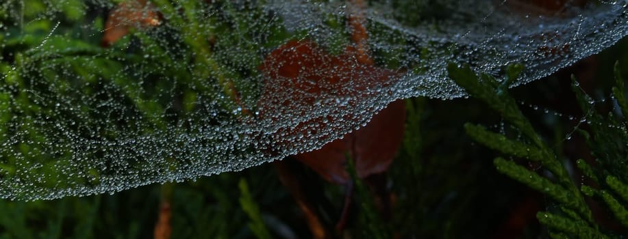 Natural artwork