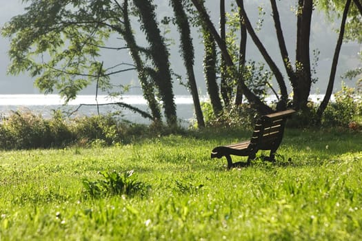 Bench on the meadow