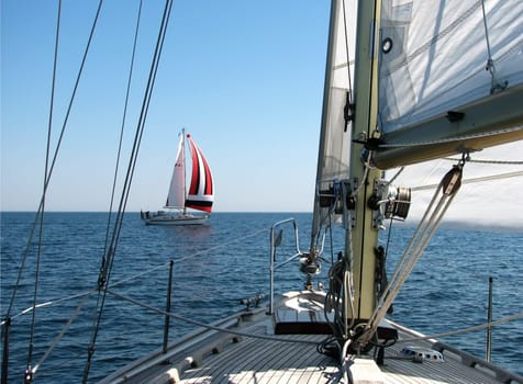 Windward gives way to leeward,according to the right-of-way rule when sailing. The windward boat (with colorful sails) gives way to the leeward boat. In this case,it fits and both can continue to steer the course.