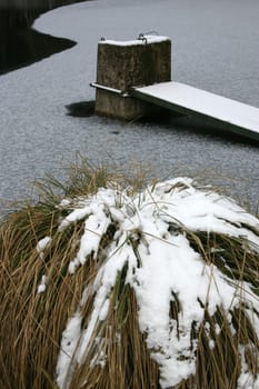 Frozen pond with water drain and snowed-in sedge bulbs