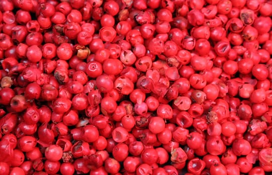 red pepper