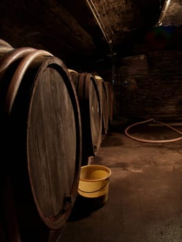Wine cellar