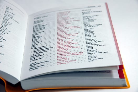Dictionary