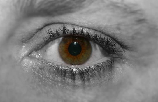The Eye