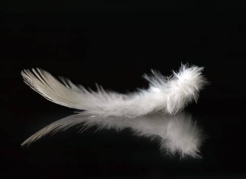 Light as a feather