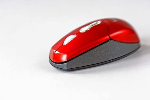 Speedy (2)