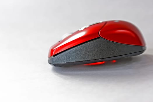 Speedy (3)