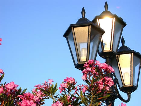 Light