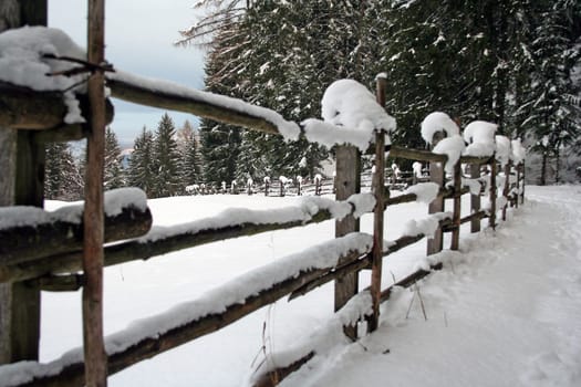 snowy