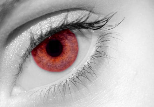 Redeye