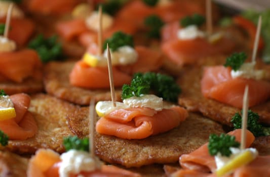 Salmon