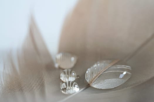 Water magnifier trio spring structure reinforcing