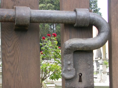 Pisa Jewish Cemetery