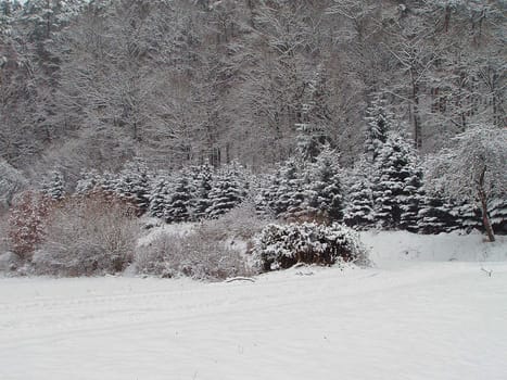Odenwald,Bavaria