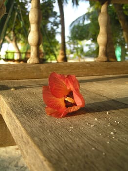 Floret