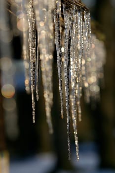 Icicle