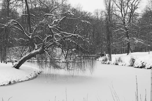 Wilhelmsbad in the snow