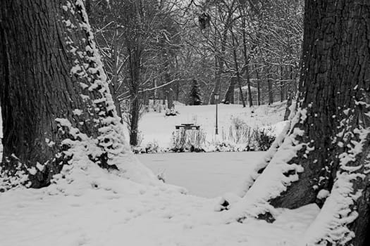 Wilhelmsbad in the snow